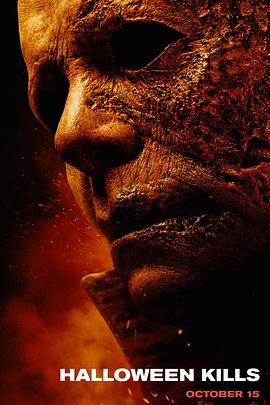 金水区网站整站优化排名